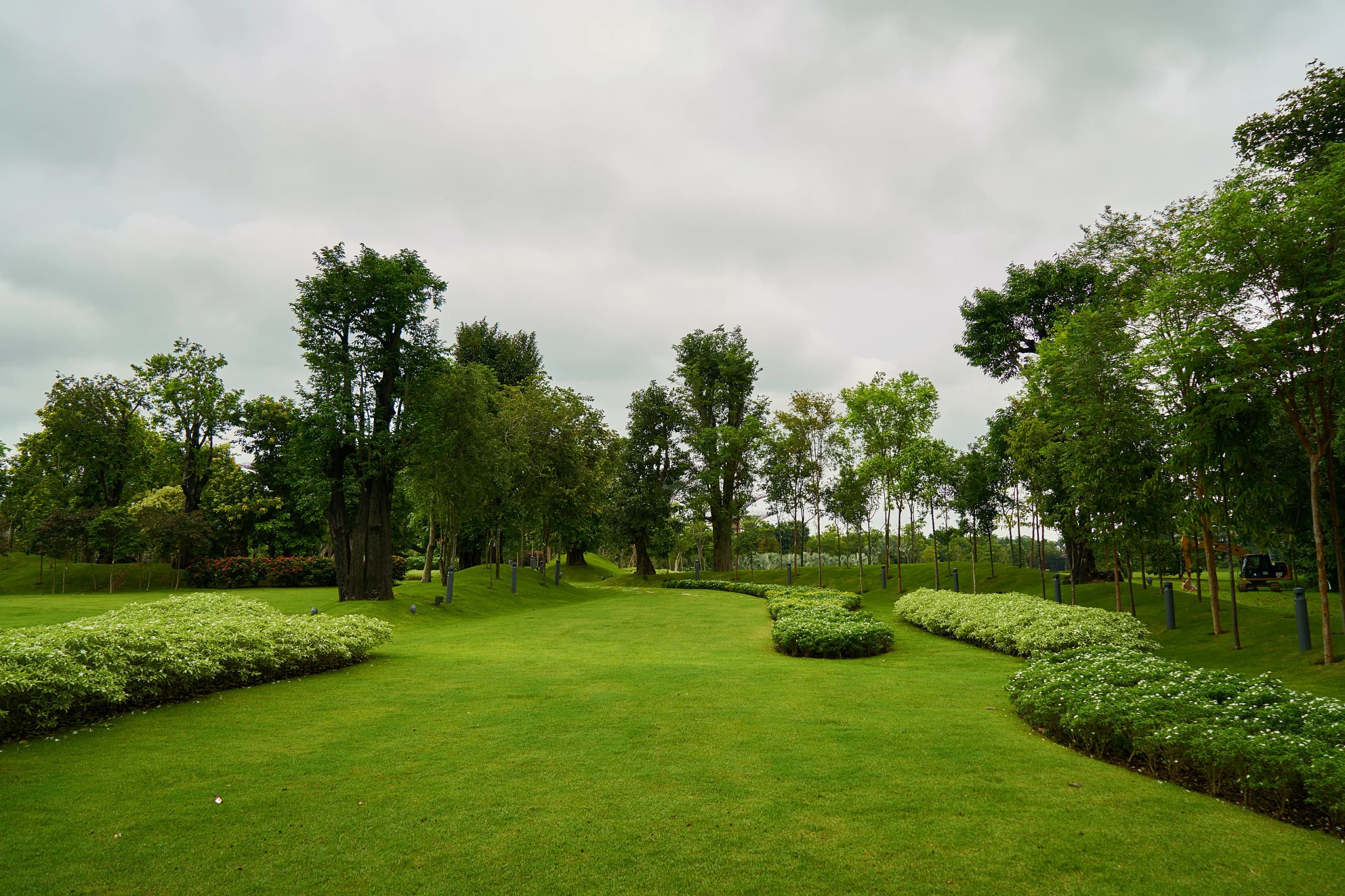 Wide mown grounds with sweeping bands of clipped shrubs and a stand of mature trees