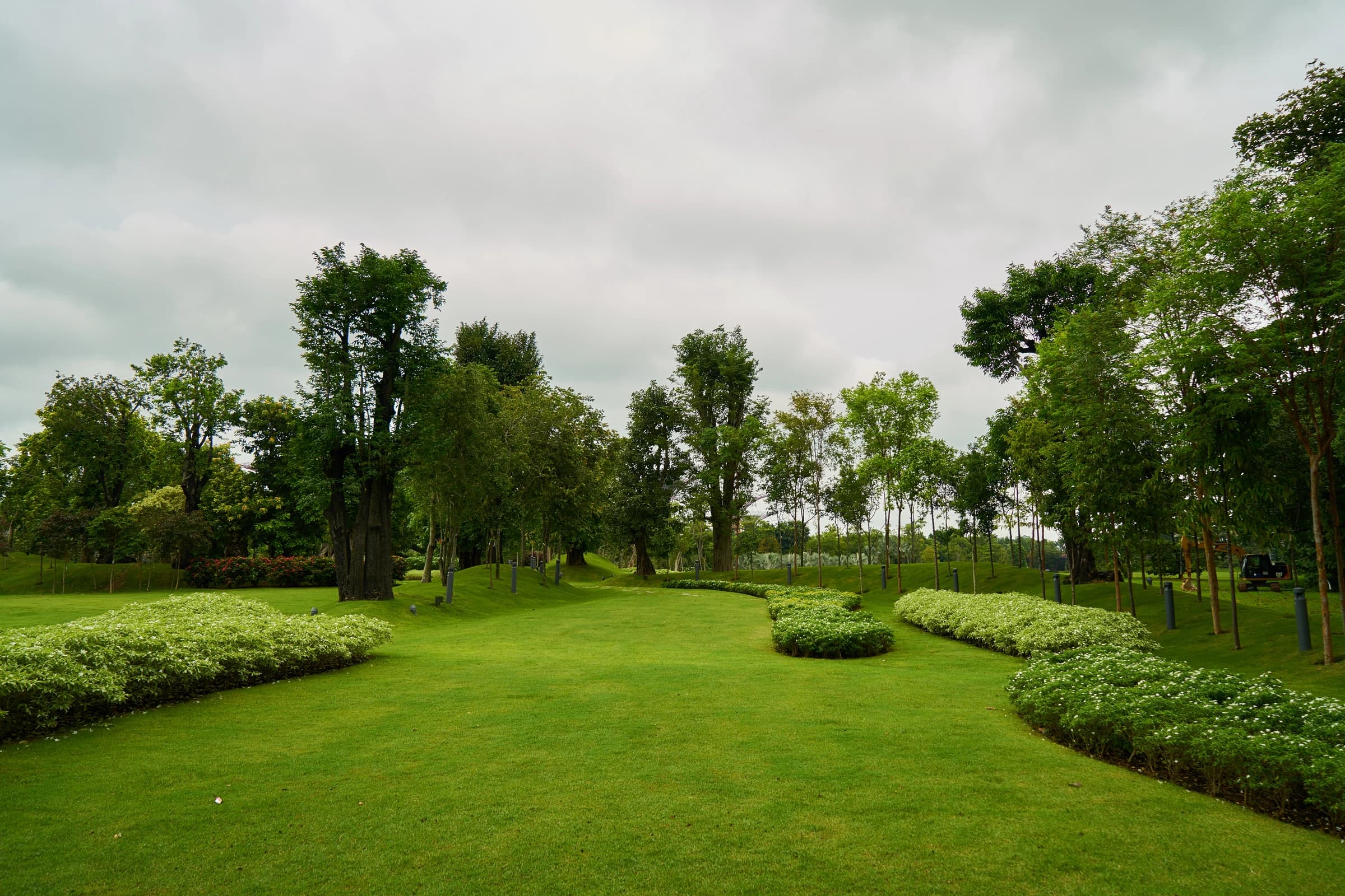 Wide mown grounds with sweeping bands of clipped shrubs and a stand of mature trees