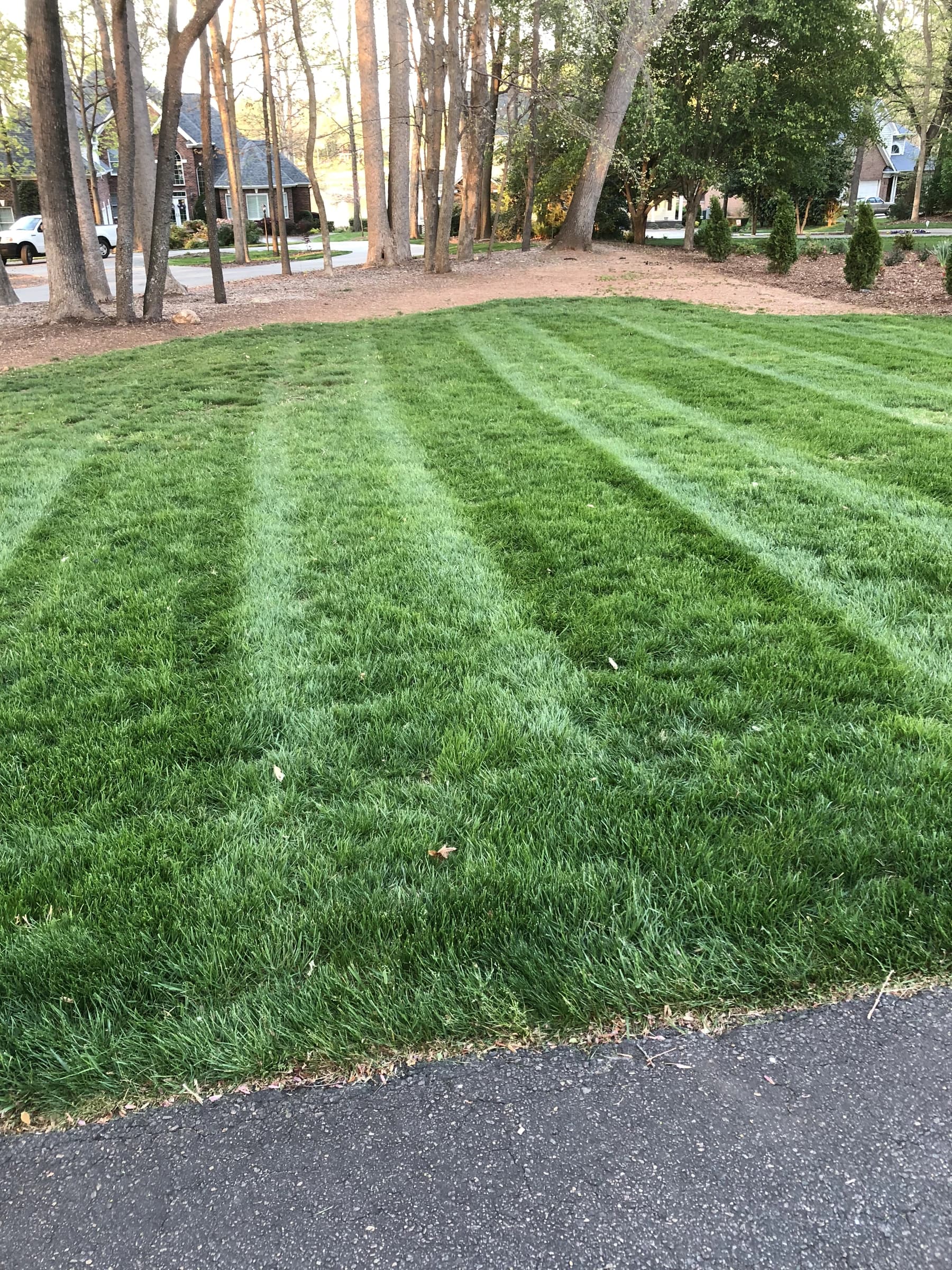 Freshly striped front lawn meeting a clean edge along an asphalt driveway