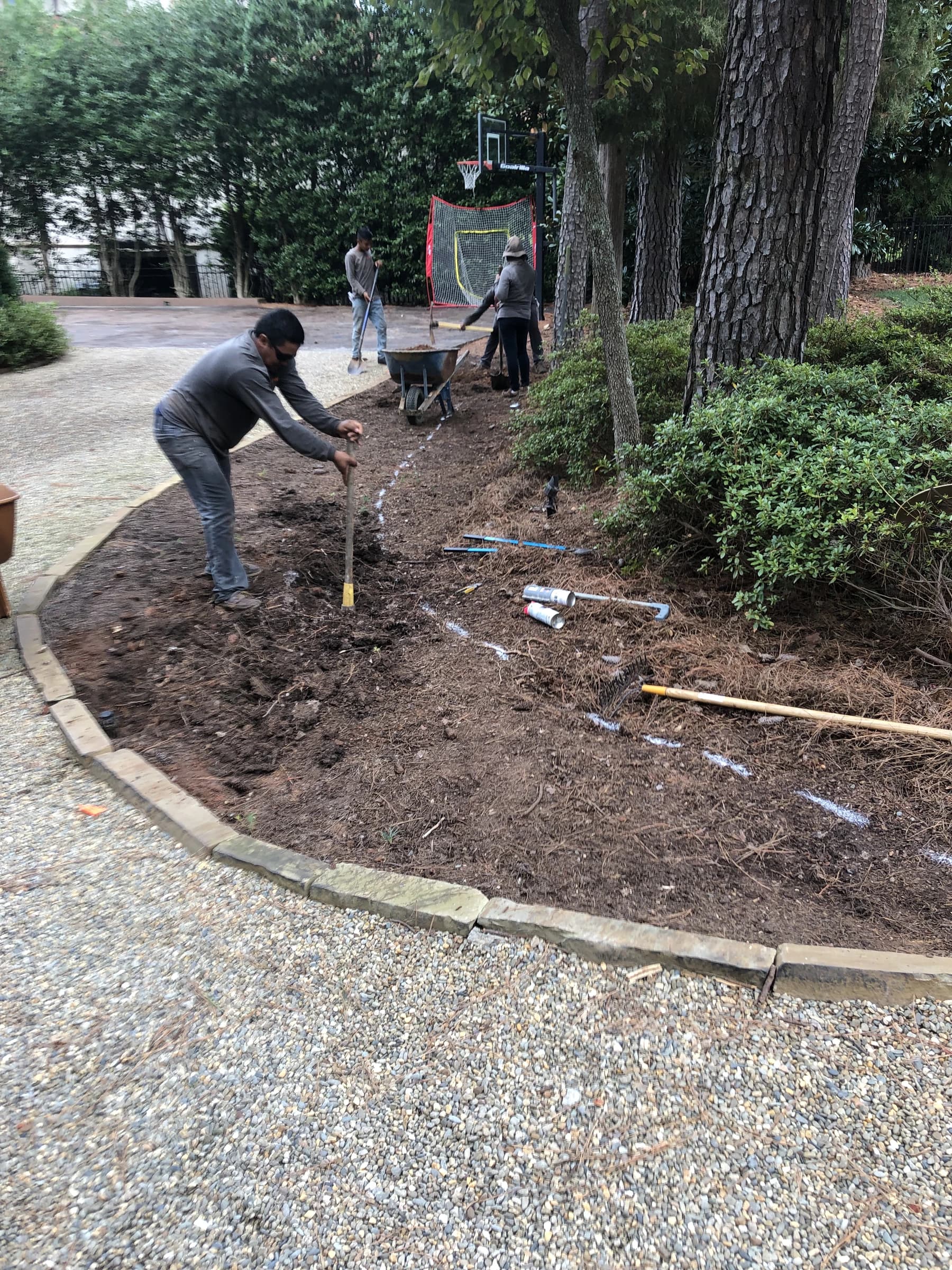 A crew member setting bed lines and irrigation during a landscape installation