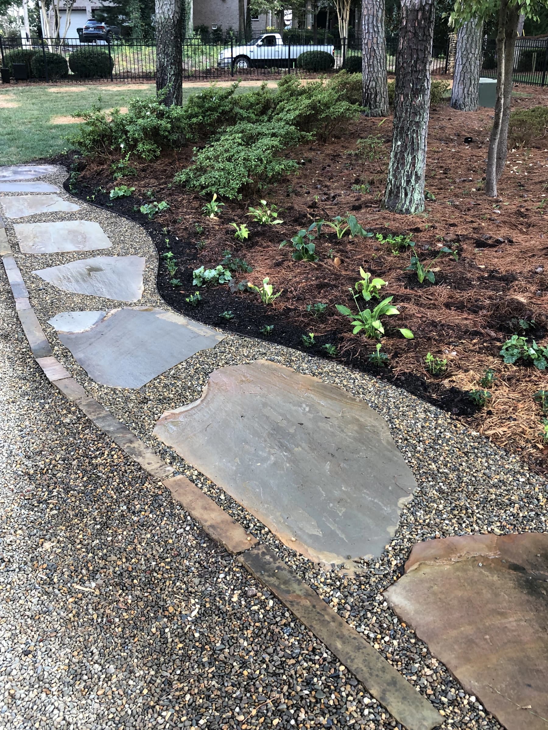 Flagstone stepping stones set through gravel and fresh planting