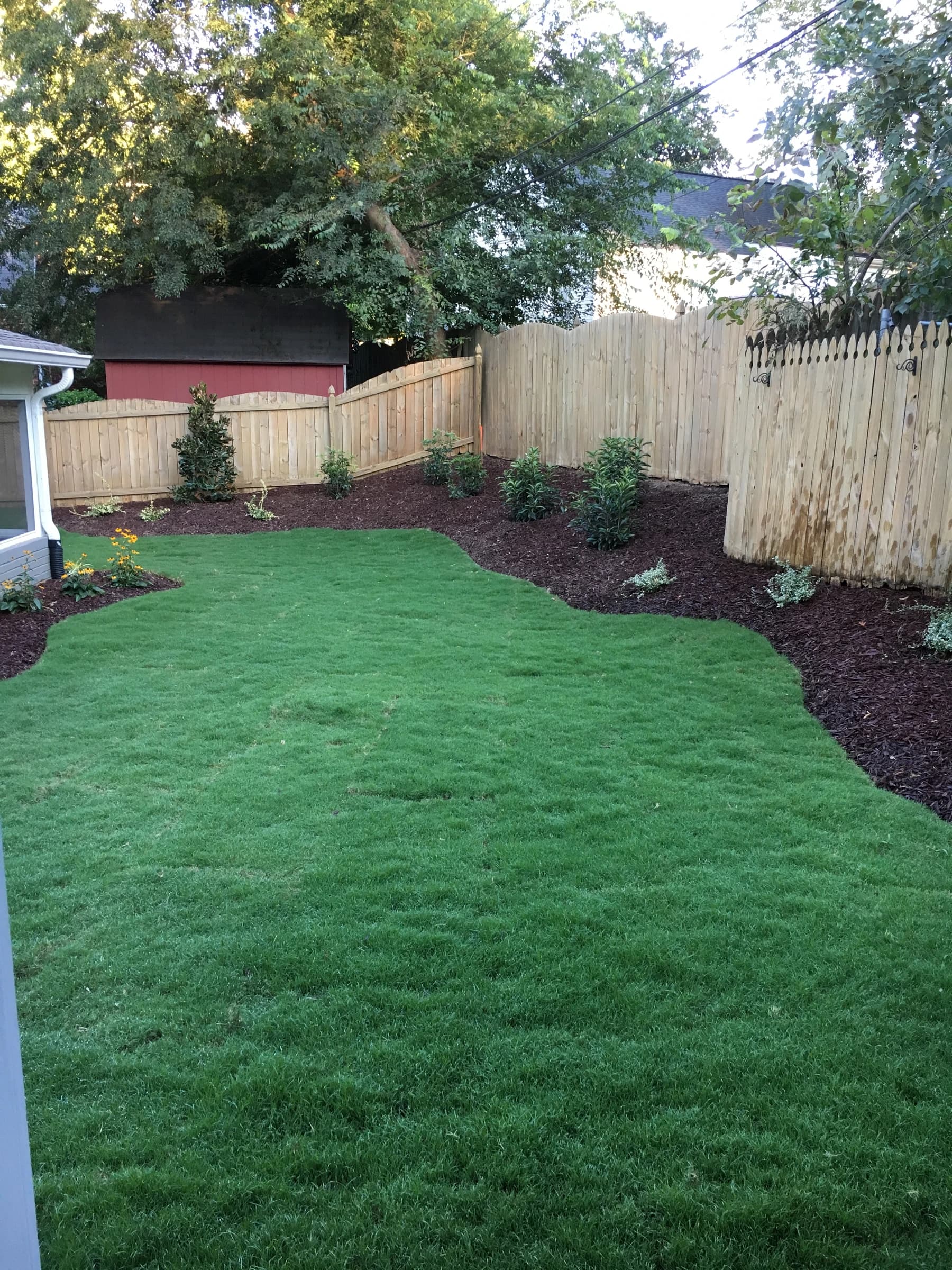 A newly finished back lawn enclosed by a timber fence